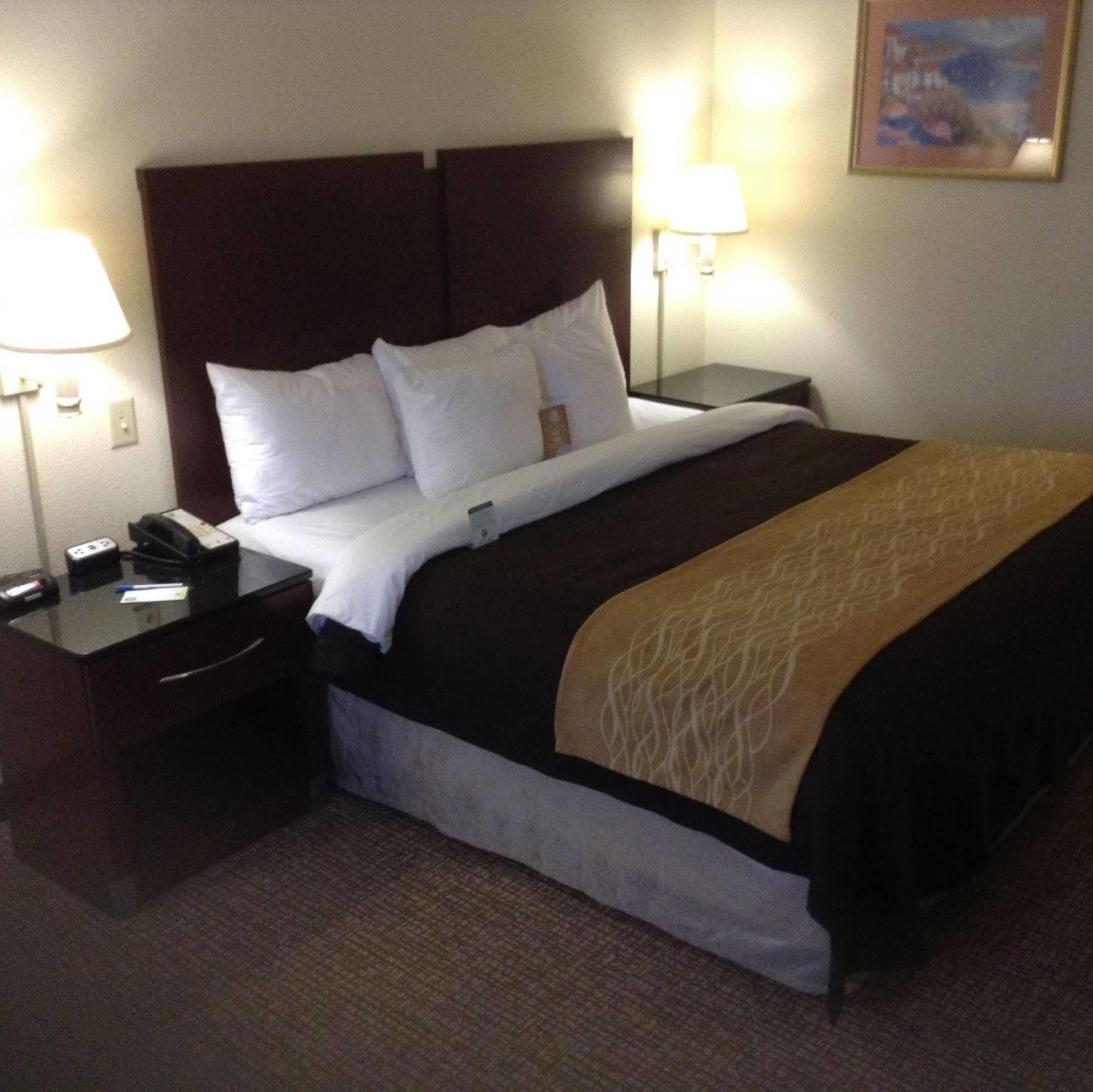Comfort Inn & Suites Ftjackson Maingate Columbia Exterior foto